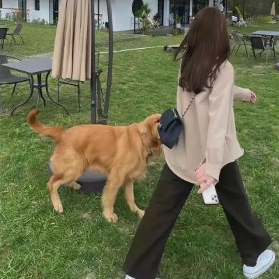 绝命警告